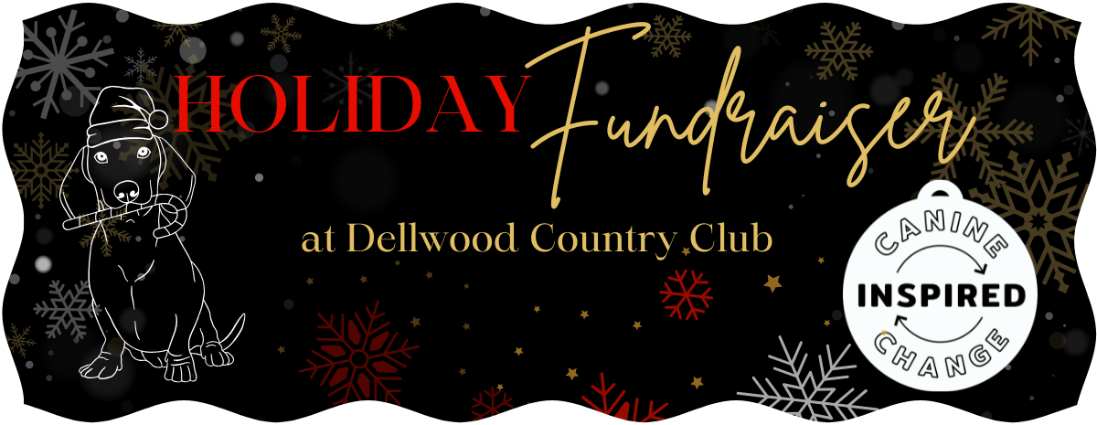 CIC 2025 Holiday Party at Dellwood